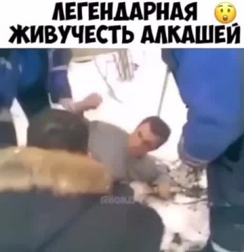 Гвозди бы делать из этих людей