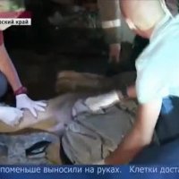 В Уссурийске завершается эвакуация живот