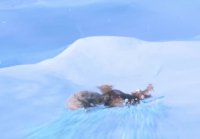 Dreamworld - Ice Age No Time For Nuts 4 D