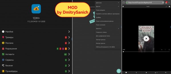 1DM+ v17.2 DS [MOD 1.01.2025]