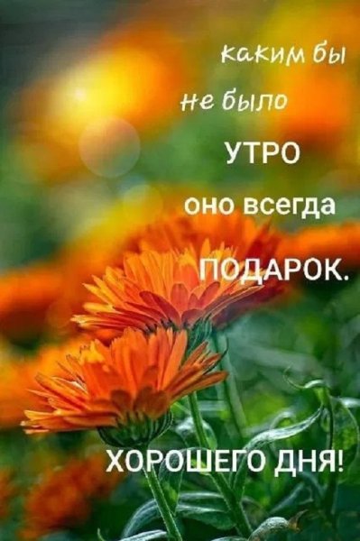 Каким бы не было утро оно всегда подарок...