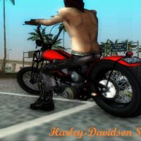 Harley-Davidson Shovelhead chopper no na