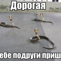 Дорогая к тебе подруги пришли ))