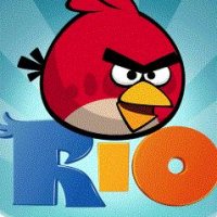 Angry Birds Rio 2 240x320 rus