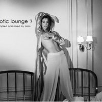 Erotic lounge 7 compiled and mixed by ozan