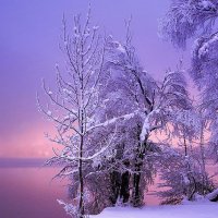 WinterLandscapes16