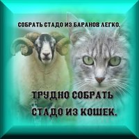 Собрать стадо из баранов легко