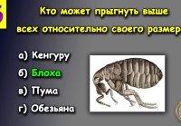 ХОРОШО вы УЧИЛИСЬ в ШКОЛЕ?Насколько стар ваш мозг