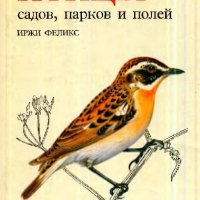 птицы садов, парков и полей