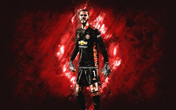 david-de-gea-spanish-footballer-goalkeeper-manchester-unite