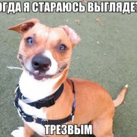 Когда я стараюсь выглядеть трезвым ))))