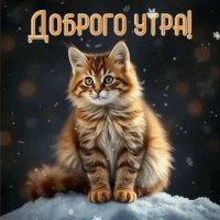 Доброго утра