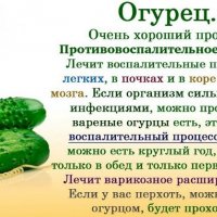 огурчик ))))