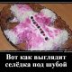 Вот как выглядит селёдка под шубой