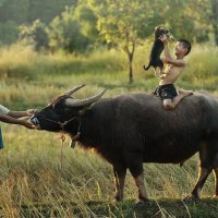 Фотограф: Saravut Whanset, Индонезия