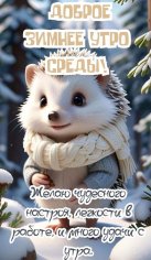 Доброе зимнее утро среды!