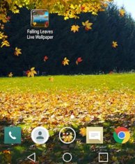 Falling Leaves Live Wallpaper-4.1