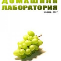 Интернет-журнал Домашняя лаборатория, 2007 11 (2007)