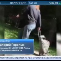 В Екатеринбурге бабушка выгуливала мален