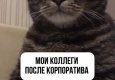 Мои коллеги после корпоратива