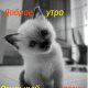 Доброе утро котенок