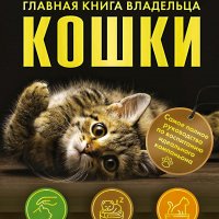 Главная книга владельца кошки