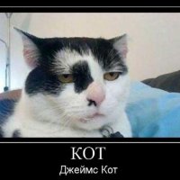 Кот, Джеймс Кот