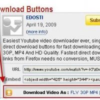 easy youtube video downloader-3.3-fx