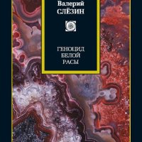 Геноцид белой расы.Кризис Европы.Как спастись,как преуспеть