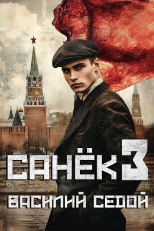 Санёк-3.В.Седой