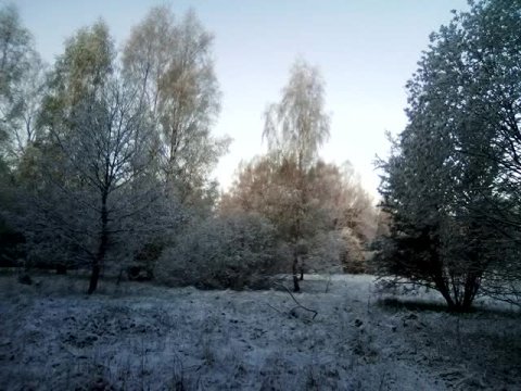 Майское утро,10.05.17,ср.