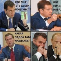 Медвед прикол