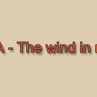 Бренд ASYA - The wind in my hair