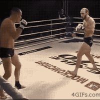 Spin Kick in MMA