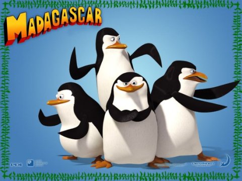 1280128273 mad-penguins 1024