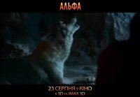 Альфа, Alfa (trailer , трейлер)