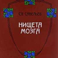 Нищета мозга - Сергей Савельев[.fb2]