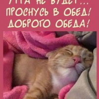 Открытка сегодня доброго утра не будет