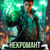 Карелин С, Абрамов А Некромант. Архитектор теней (2024)