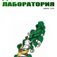 Интернет-журнал Домашняя лаборатория, 2008 1 (2008)