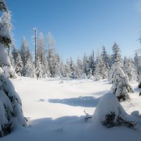 Germany-winter-snow-germaniia-garts-zima-sneg-sugroby