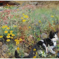 Cat on a flowery meadow