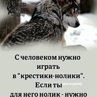 Крестики и Нолики