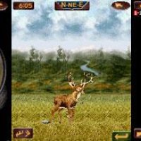 Deer Hunter 2