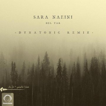 Sara-Naeini - Del Yar (Dynatonic Remix) (promodj.com)