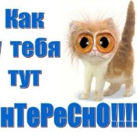 Как у тебя тут интересно