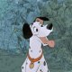 dalmatians-pongo