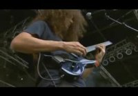 Cynic - How Could I (Live Wacken Open Ai