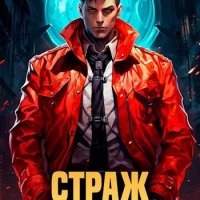 Илья Романов (determix) КО: Страж Кодекса. Книга VIII