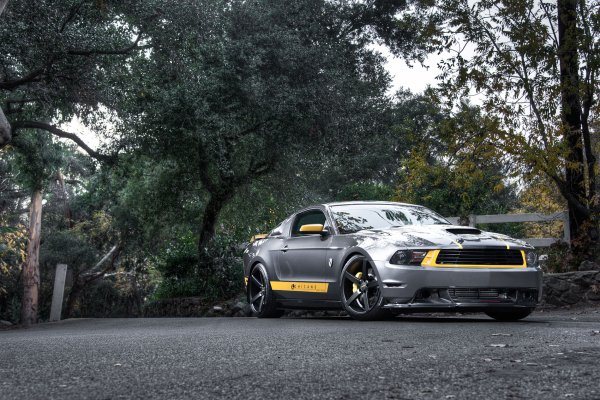 Ford-mustang-gt-silvery-ford-1965